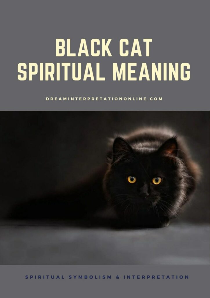 the black cat symbolism essay